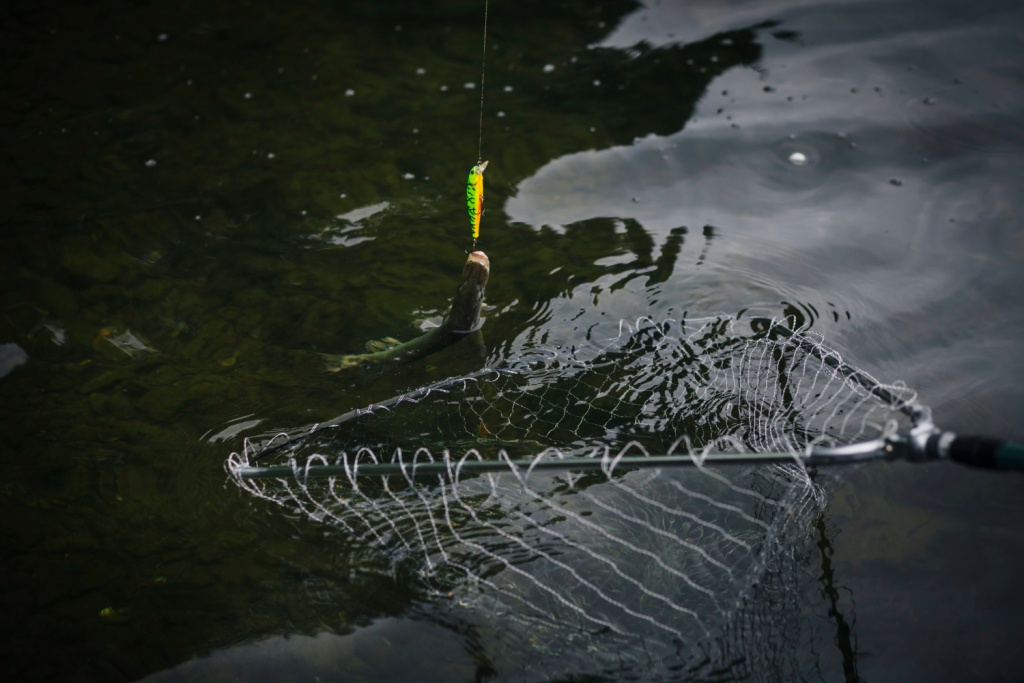 Челябинские полицейские задержали браконьеров за незаконную ловлю рыбы в период нереста