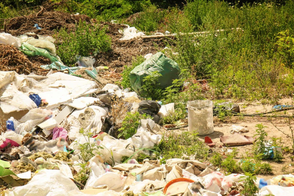 В национальном парке "Самарская Лука" ликвидировали несанкционированную свалку твёрдых бытовых отходов В национальном парке "Самарская Лука" ликвидировали несанкционированную свалку твёрдых бытовых отходов